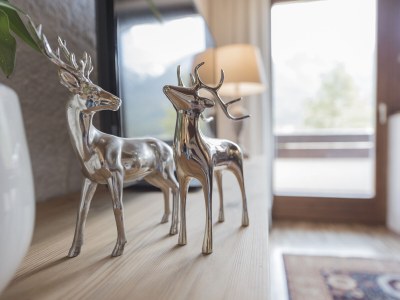 Holiday apartment 2-room apartment SEEBLICK in the Wildsee House - Features photo 15