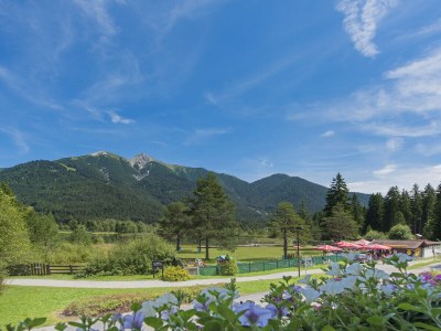 Holiday apartment 2-room apartment SEEBLICK in the Wildsee House - Features photo 17