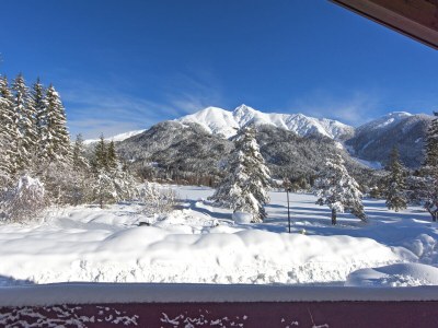 Holiday apartment 2-room apartment SEEBLICK in the Wildsee House - Features photo 18