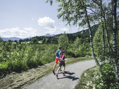 Holiday apartment 2-room apartment SEEBLICK in the Wildsee House - Environment photo 24