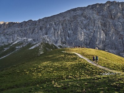 Holiday apartment 2-room apartment SEEBLICK in the Wildsee House - Environment photo 31