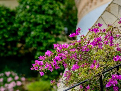 Villa Villa Calma - Charmante und ruhige Villa mit Garten, Pool und schönem Meerblick in Santa Ponsa - Outdoor photo 12