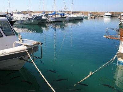 Villa Villa Calma - Charmante und ruhige Villa mit Garten, Pool und schönem Meerblick in Santa Ponsa - Environment photo 28