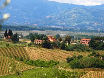 Holiday house Gemütliches Ferienhaus mit Schwimmbad mit whirlwanne und Kinderbecken - Outdoor photo 21