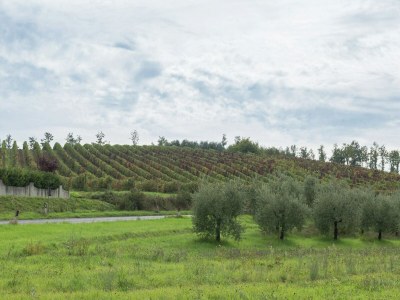 Apartment Gemütliches Ferienhaus mit Schwimmbad mit whirlwanne und Kinderbecken - Outdoor photo 12