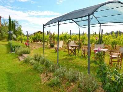Apartment Gemütliches Ferienhaus mit Schwimmbad mit whirlwanne und Kinderbecken - Outdoor photo 34