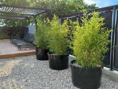 Villa Villa Petri - Outdoor photo 10