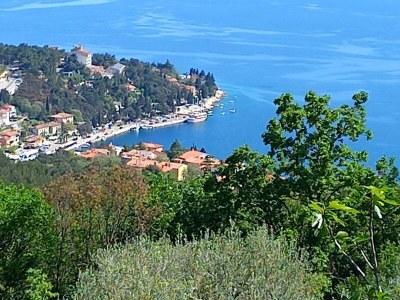 Villa Villa Petri - Environment photo 39