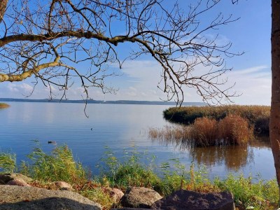 Holiday house "Villa Sorgenfrei" - Environment photo 36