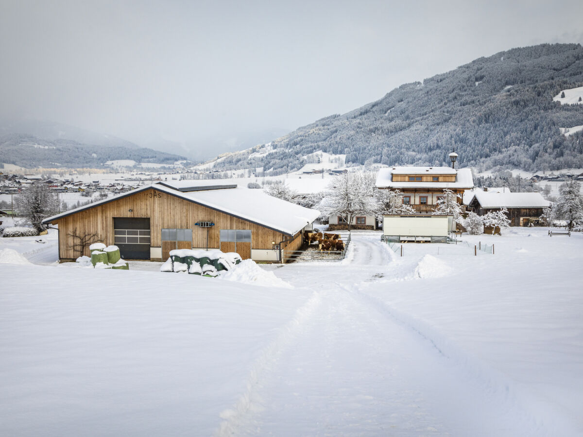 Holiday apartment Fam. Gruber Hansenbauer - Outdoor photo 3