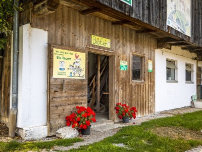 Holiday apartment Fam. Gruber Hansenbauer - Outdoor photo 6