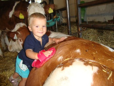 Holiday apartment Fam. Gruber Hansenbauer - Environment photo 19