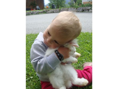 Holiday apartment Fam. Gruber Hansenbauer - Environment photo 20