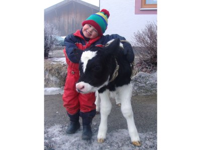 Holiday apartment Fam. Gruber Hansenbauer - Environment photo 21