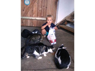 Holiday apartment Fam. Gruber Hansenbauer - Environment photo 23