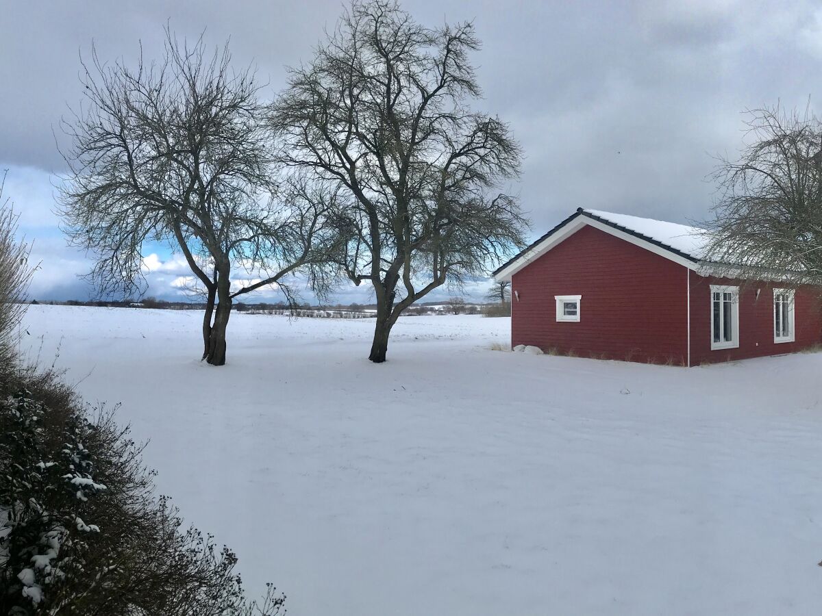 Holiday house Ferien-Holzhaus - Outdoor photo 2