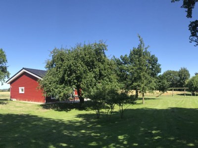 Holiday house Ferien-Holzhaus - Outdoor photo 3