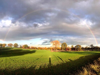 Holiday house Ferien-Holzhaus - Environment photo 25