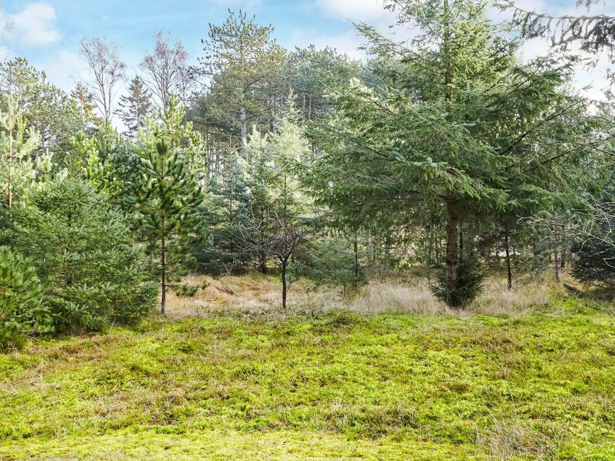 Holiday house 4 person holiday home in Store Fuglede-By Traum - Outdoor photo 5