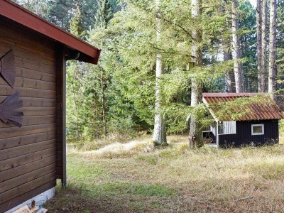 Holiday house 4 person holiday home in Store Fuglede-By Traum - Outdoor photo 4