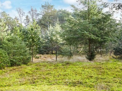 Holiday house 4 person holiday home in Store Fuglede-By Traum - Outdoor photo 5