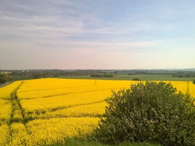 Holiday house 4 person holiday home in Store Fuglede-By Traum - Outdoor photo 22