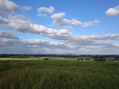 Holiday house 4 person holiday home in Store Fuglede-By Traum - Outdoor photo 23