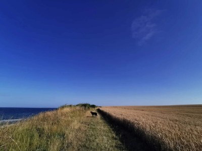 Holiday house 4 person holiday home in Store Fuglede-By Traum - Outdoor photo 24