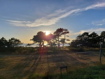 Holiday house 4 person holiday home in Store Fuglede-By Traum - Outdoor photo 25