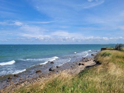 Holiday house 4 person holiday home in Store Fuglede-By Traum - Outdoor photo 27