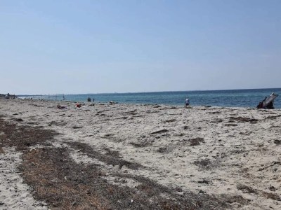 Holiday house 4 person holiday home in Store Fuglede-By Traum - Outdoor photo 29