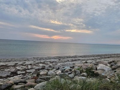 Holiday house 4 person holiday home in Store Fuglede-By Traum - Outdoor photo 30