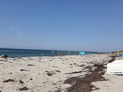 Holiday house 4 person holiday home in Store Fuglede-By Traum - Outdoor photo 31