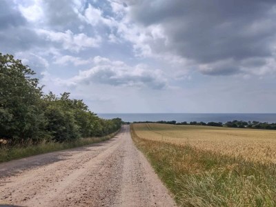 Holiday house 4 person holiday home in Store Fuglede-By Traum - Outdoor photo 32