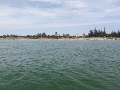 Holiday house 4 person holiday home in Store Fuglede-By Traum - Outdoor photo 33