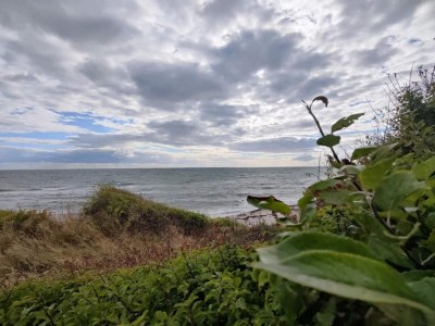 Holiday house 4 person holiday home in Store Fuglede-By Traum - Outdoor photo 34