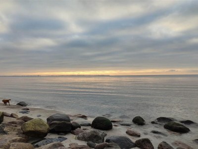 Holiday house 4 person holiday home in Store Fuglede-By Traum - Outdoor photo 35