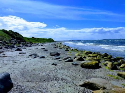 Holiday house 4 person holiday home in Store Fuglede-By Traum - Outdoor photo 37