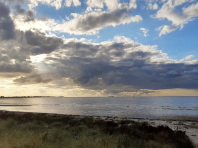 Holiday house 4 person holiday home in Store Fuglede-By Traum - Outdoor photo 40