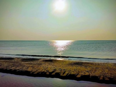 Holiday house 4 person holiday home in Store Fuglede-By Traum - Outdoor photo 41