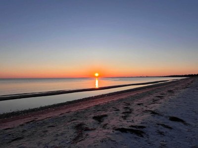 Holiday house 4 person holiday home in Store Fuglede-By Traum - Outdoor photo 47