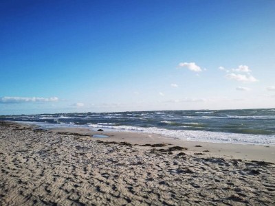 Holiday house 4 person holiday home in Store Fuglede-By Traum - Outdoor photo 50