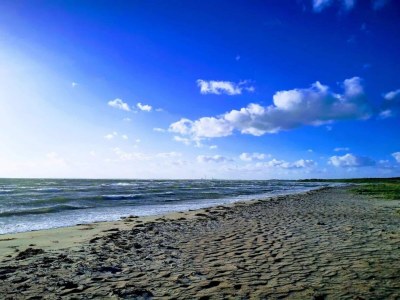 Holiday house 4 person holiday home in Store Fuglede-By Traum - Outdoor photo 55