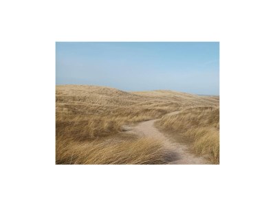 Apartment PiMa aan Zee - Environment photo 18