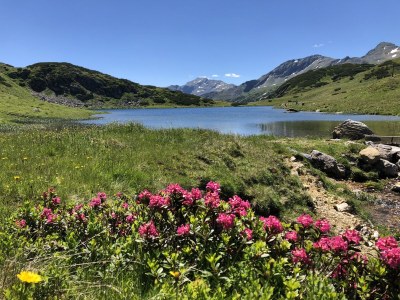 Holiday house Holiday Lodge Edelstein - Environment photo 35