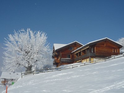 Holiday apartment Chalet Mooshang - Outdoor photo 2