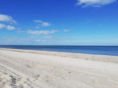 Holiday house 6 Personen Ferienhaus in Væggerløse-By Traum - Outdoor photo 13