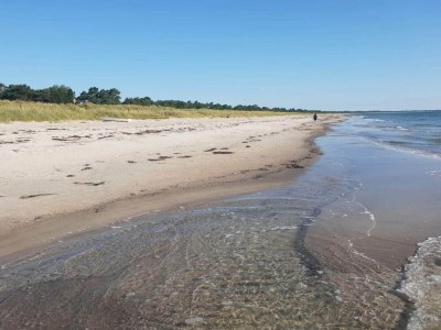 Holiday house 6 Personen Ferienhaus in Væggerløse-By Traum - Outdoor photo 28