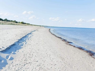 Holiday house 6 Personen Ferienhaus in Væggerløse-By Traum - Outdoor photo 30