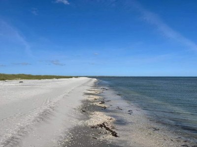 Holiday house 5 Personen Ferienhaus in Jerup-By Traum - Outdoor photo 26